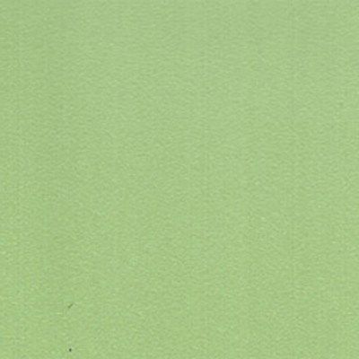 0065 Зеленый тенеро